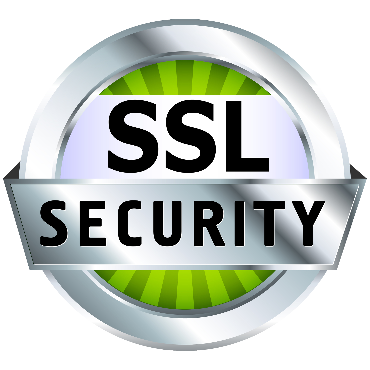 Image of circle with SSL Security inside to support Website Protection service